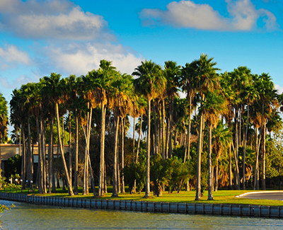 Bail Bonds in Brownsville, Texas